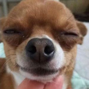 Meet your Posher, Patrick